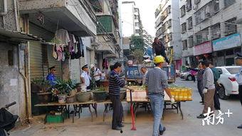 江南新村爆料视频最新,揭秘社区生活新动态